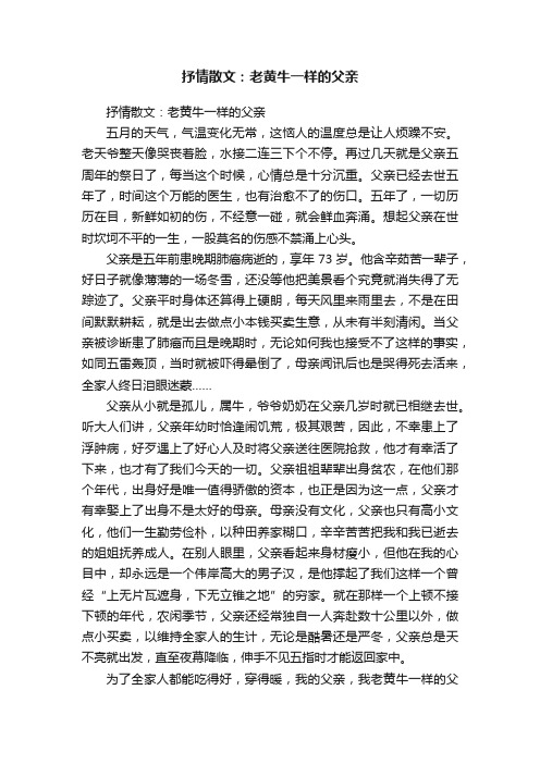 抒情散文：老黄牛一样的父亲