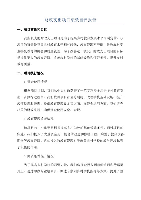 财政支出项目绩效自评报告