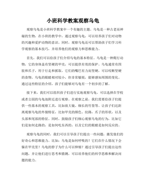 小班科学教案观察乌龟