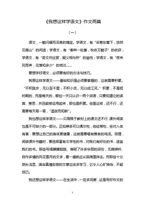 我要这样学语文作文400字