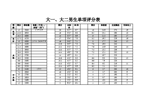 大学生体质健康测试评分标准