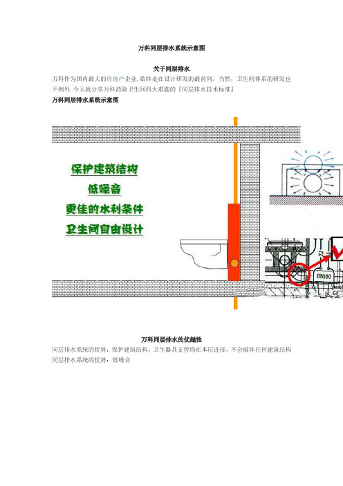 万科同层排水系统示意图【精选文档】