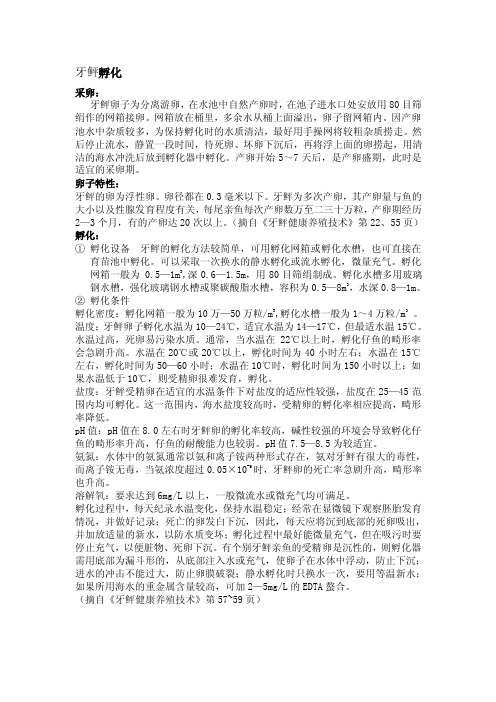 牙鲆孵化——精选推荐