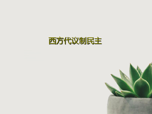 西方代议制民主共47页文档