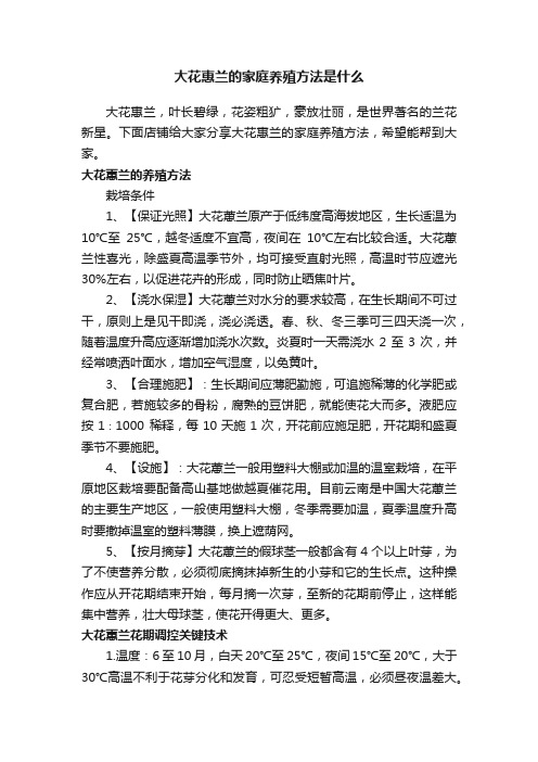 大花惠兰的家庭养殖方法是什么