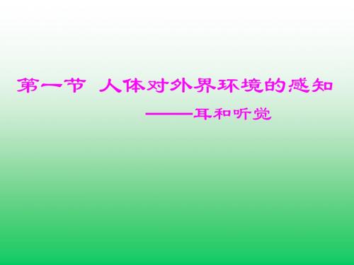 人体对外界环境的感知——耳和听觉 PPT课件 人教版