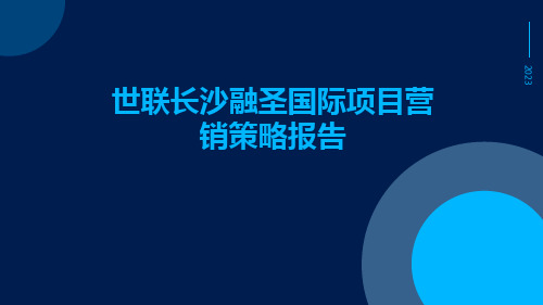 世联长沙融圣国际项目营销策略报告