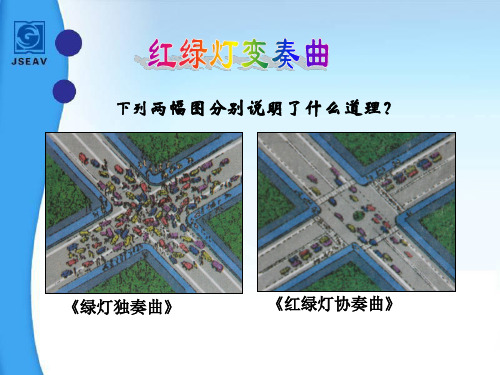 江苏省常州市潞城中学七年级政治下册《第二十三课 第一框 社会公共生活需要秩序》课件 苏教版