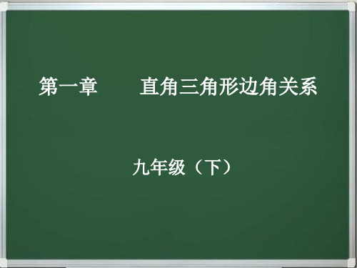 九年级数学下册 直角三角形边角关系(同步+复习)精品串讲课件