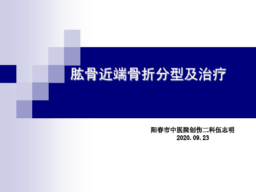 肱骨近端骨折分型及诊疗