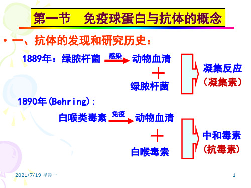 医学专题免疫球蛋白与抗体