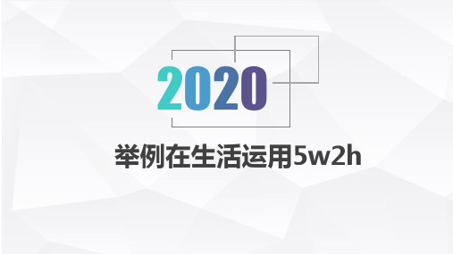 举例在生活运用5w2h