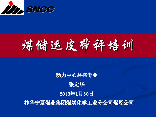 煤储运皮带校验培训1.30