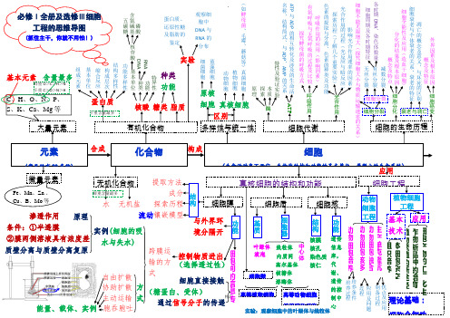 生物必修一物质基础与细胞思维导图