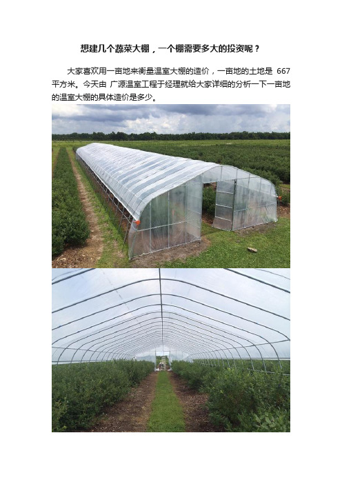 想建几个蔬菜大棚，一个棚需要多大的投资呢？