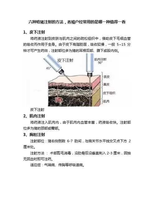 六种给猪注射的方法，养殖户经常用的是哪一种值得一看