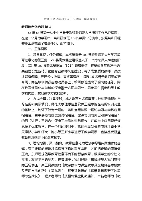 教师信息化培训个人工作总结（精选3篇）