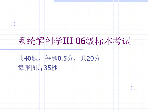 系统解剖学III 06级标本考试