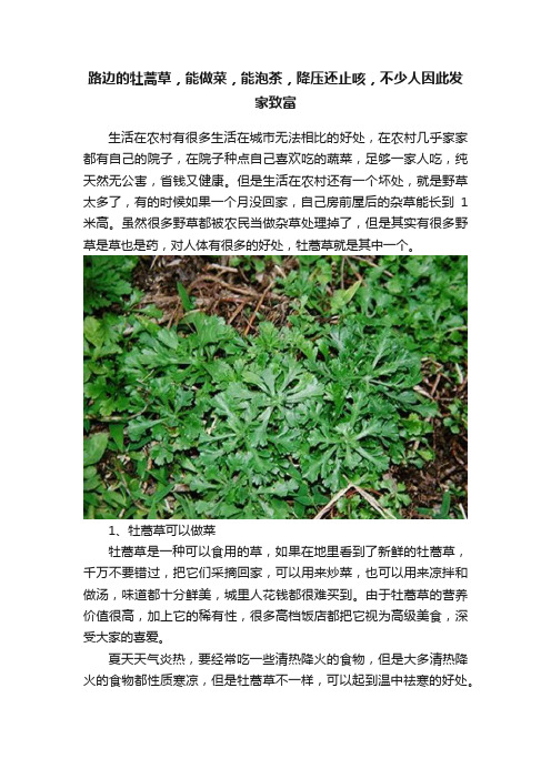 路边的牡蒿草，能做菜，能泡茶，降压还止咳，不少人因此发家致富