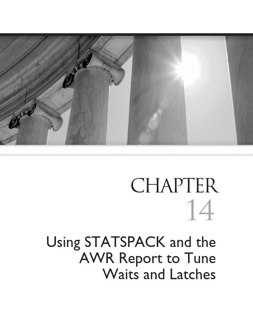 oracle 10g 性能调整-statspack(p23)