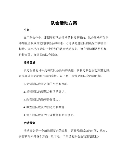 队会活动方案