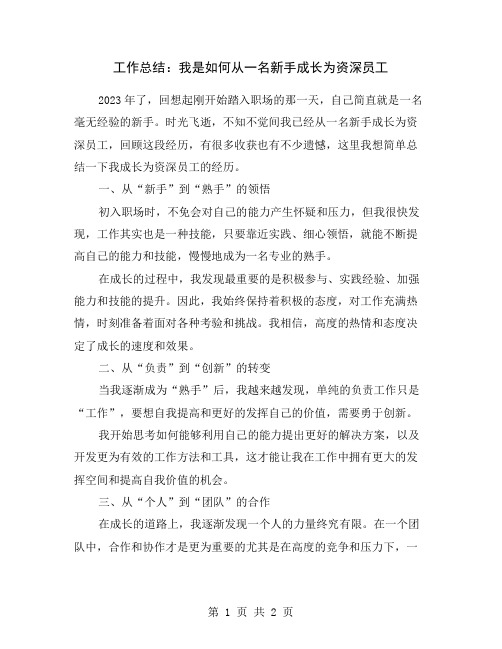 工作总结：我是如何从一名新手成长为资深员工