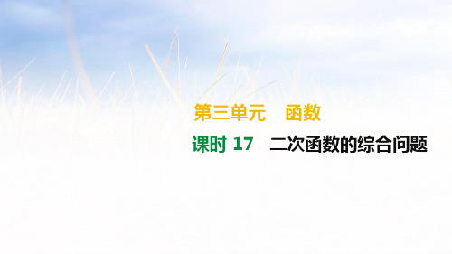 2019年中考数学总复习课件：二次函数的综合问题