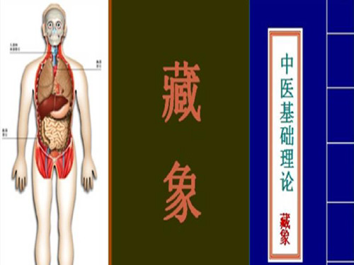 中医基础理论--藏象学说课件