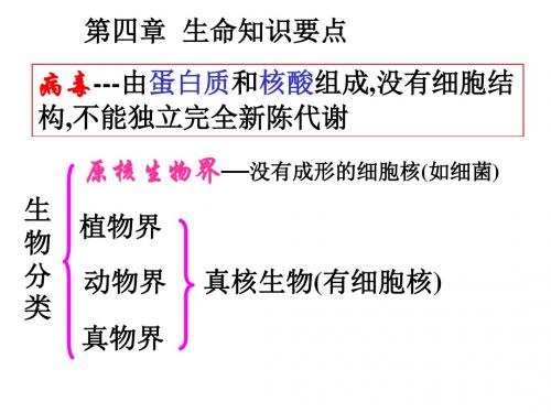 九年级科学生命科学复习