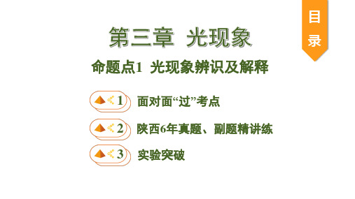 2020中考复习命题点光现象辨识及解释