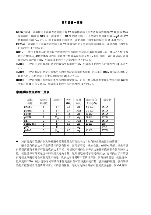 菌株及质粒