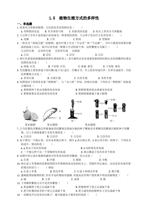 浙教版科学七年级下册  1.5植物生殖方式的多样性  同步练习题