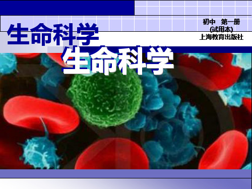 1.1 人体内的细胞是如何组织起来的(第二课时)