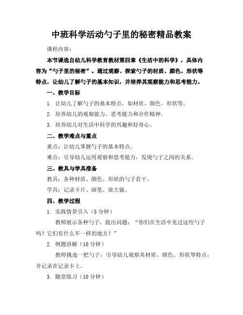 中班科学活动勺子里的秘密精品教案