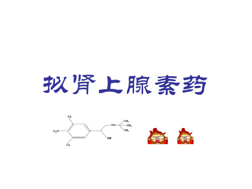 拟肾上腺素药-药理学课件