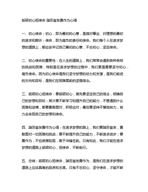 砥砺初心担使命 踔厉奋发勇作为心得