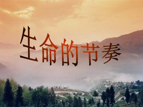 生命的节奏ppt优秀课件 人教版