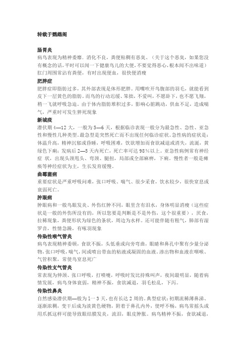 53种鹦鹉及鸟类疾病症状表现--转载于鹦鹉阁