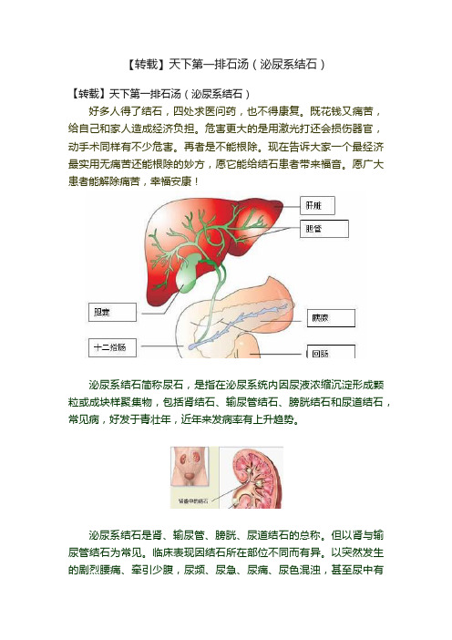 【转载】天下第一排石汤（泌尿系结石）