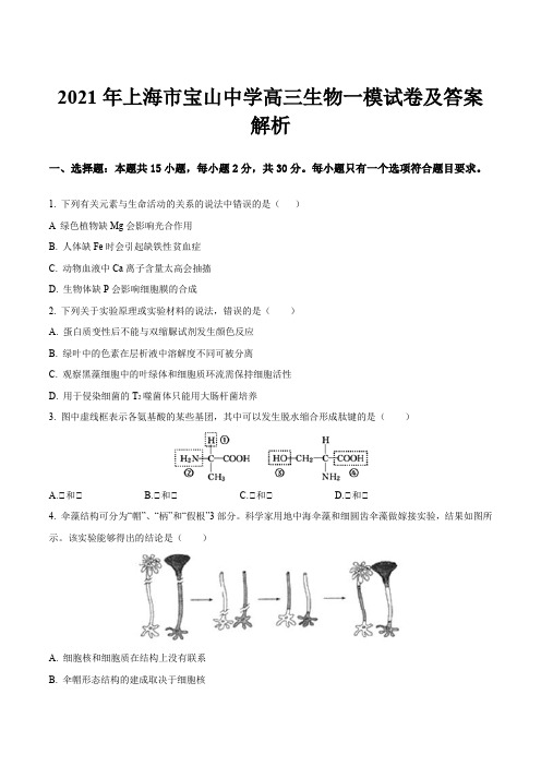 2021年上海市宝山中学高三生物一模试卷及答案解析