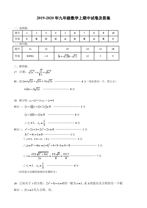 2019-2020年九年级数学上期中试卷及答案