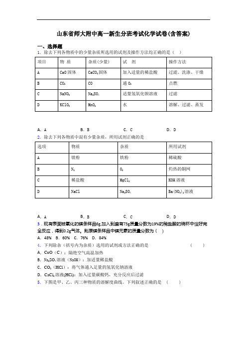 山东省师大附中高一新生分班考试化学试卷(含答案)