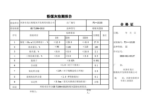 粉煤灰检测报告