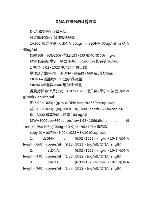 DNA拷贝数的计算方法