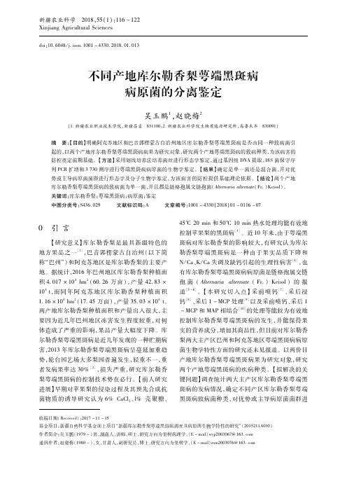 不同产地库尔勒香梨萼端黑斑病病原菌的分离鉴定