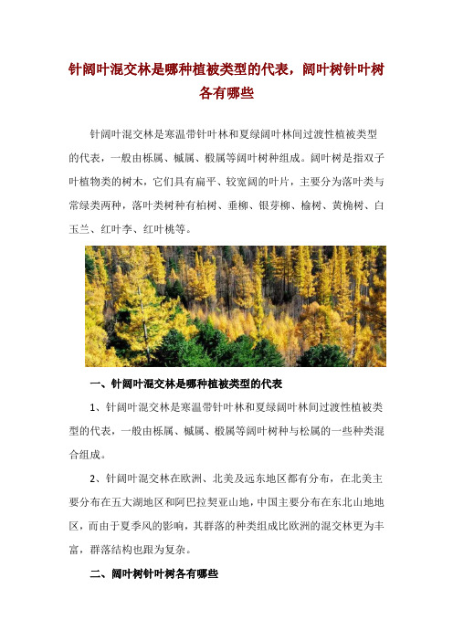 针阔叶混交林是哪种植被类型的代表,阔叶树针叶树各有哪些