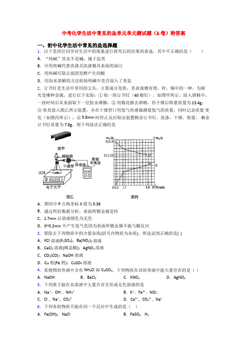 中考化学生活中常见的盐单元单元测试题(A卷)附答案