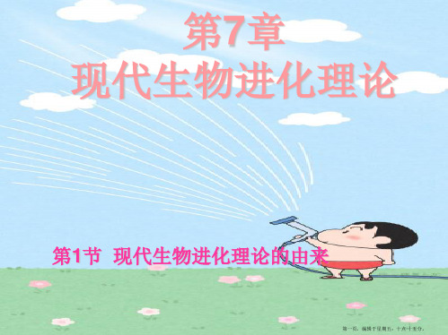 高中生物 第7章 现代生物进化理论课件 新人教版必修2