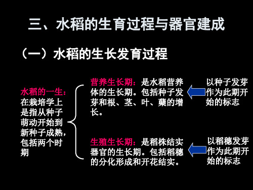 3水稻的生育过程与器官建成