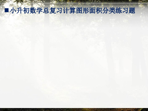 小升初数学总复习计算图形面积分类练习题解析